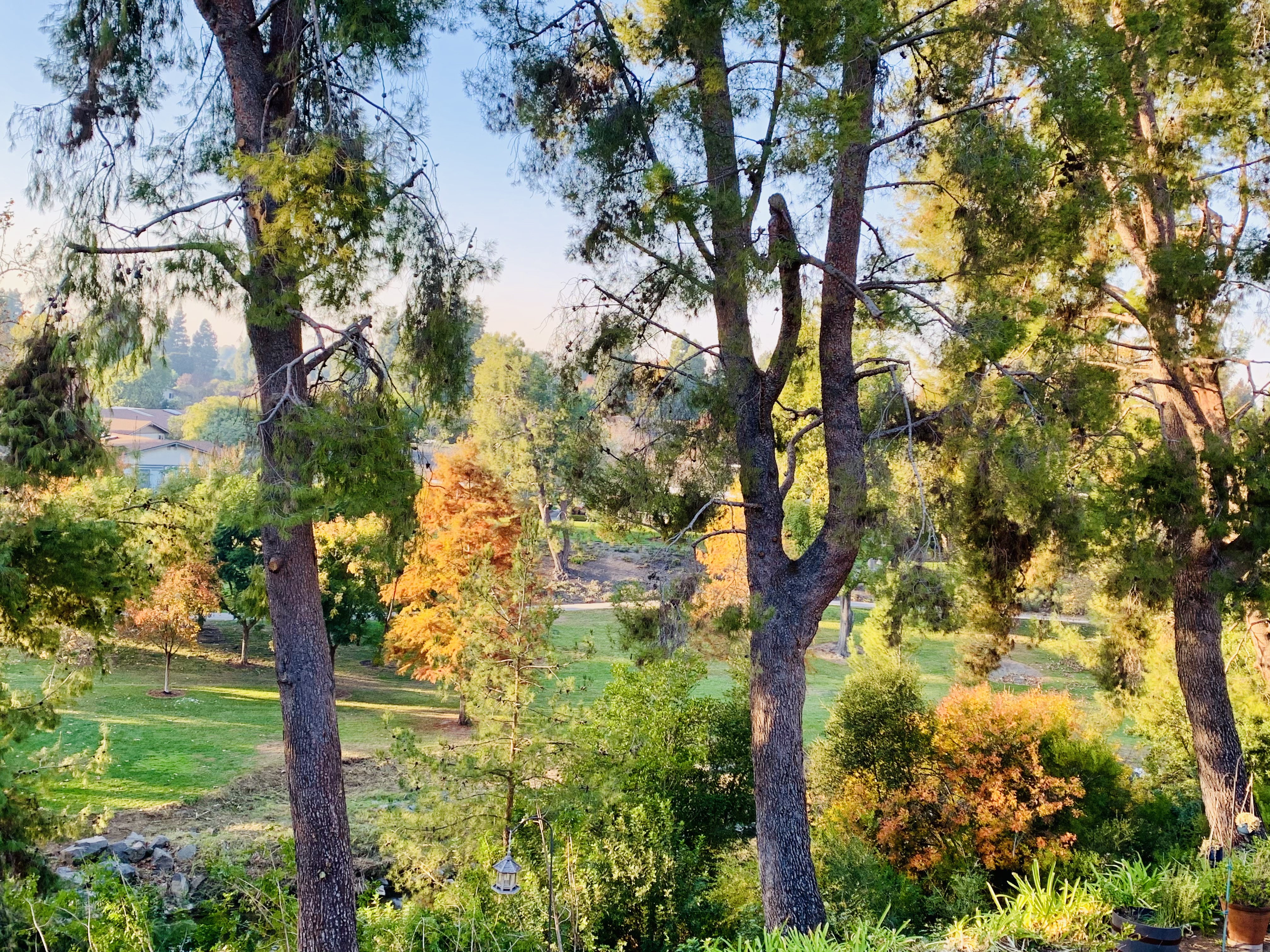 Laguna Woods Village