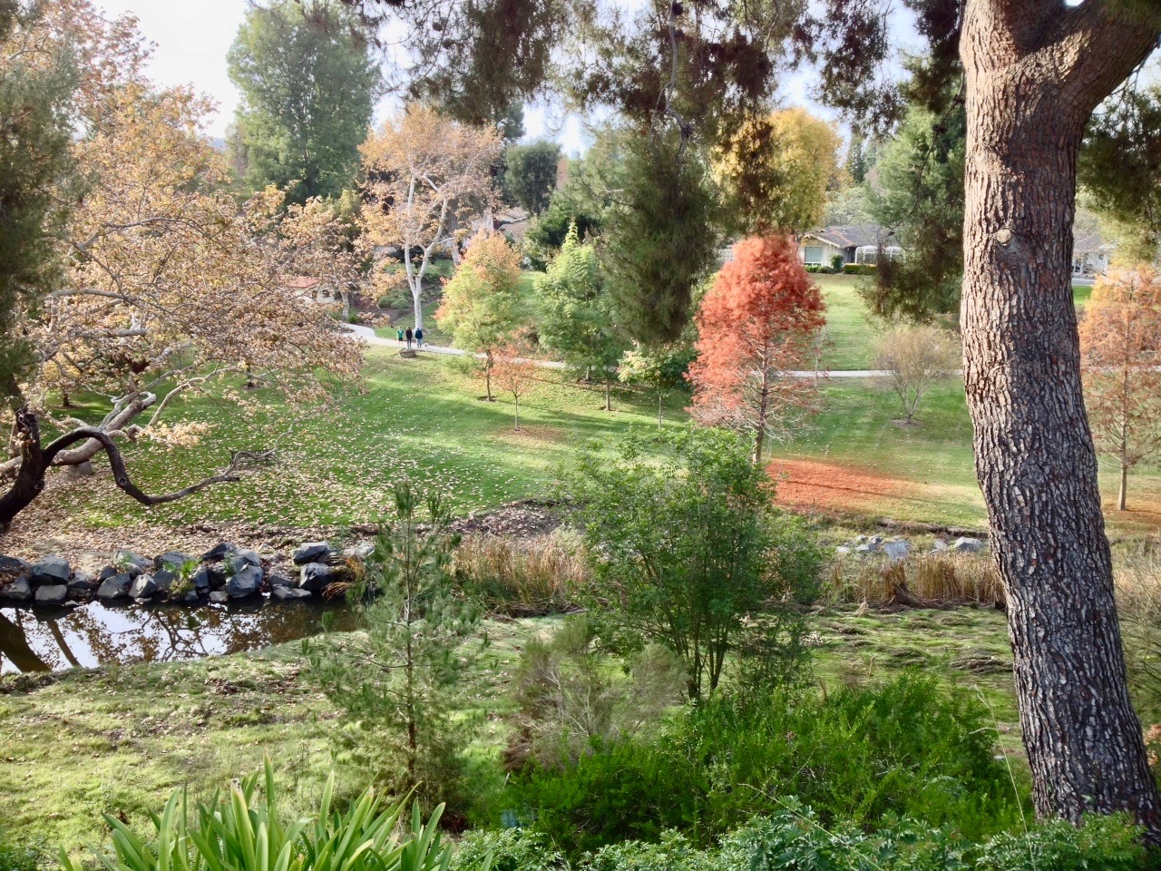 Laguna Woods Village